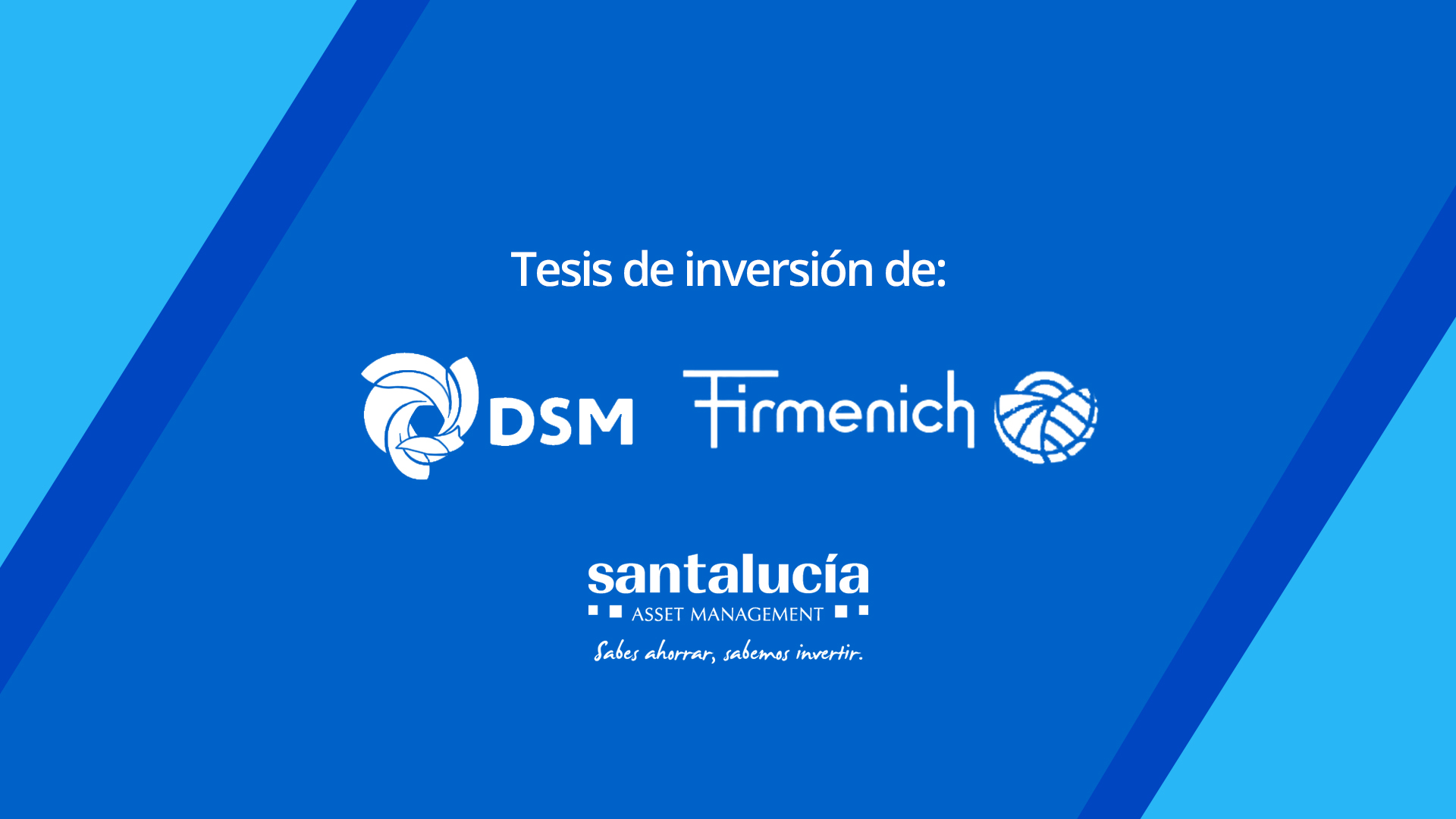 Royal DSM N.V.: una empresa que cumple con todos los requisitos cualitativos de una inversión